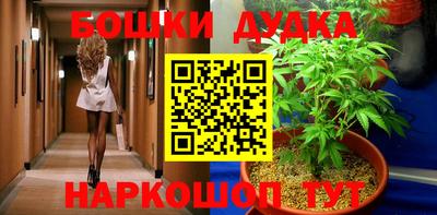 стафф Бердск