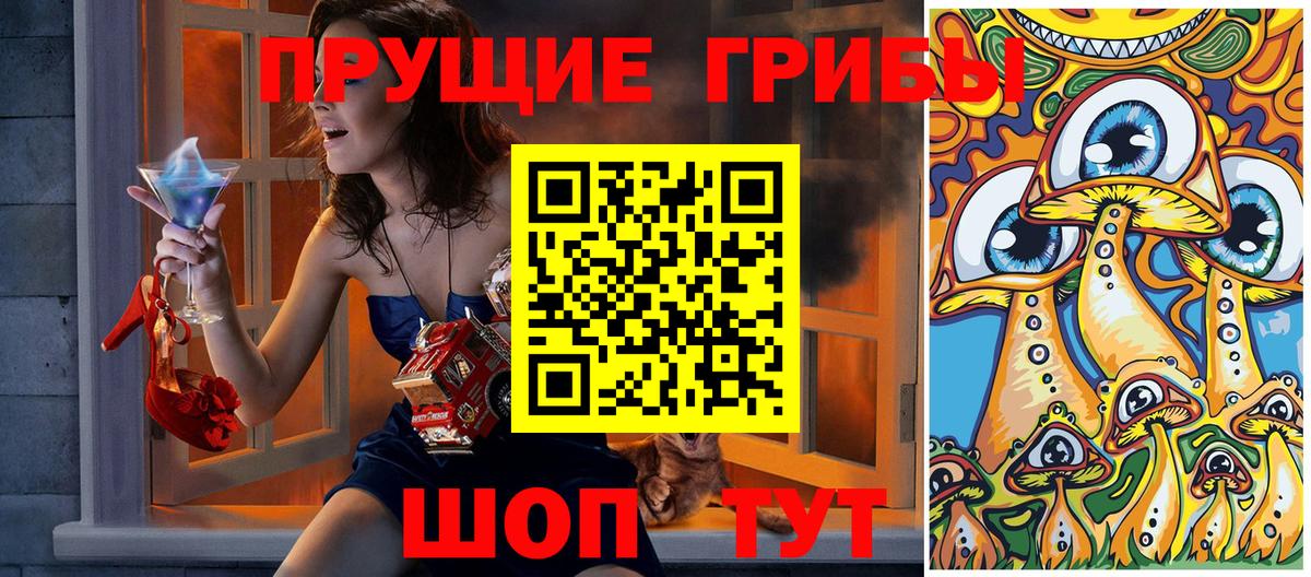 Псилоцибиновые грибы Psilocybine cubensis Кольчугино