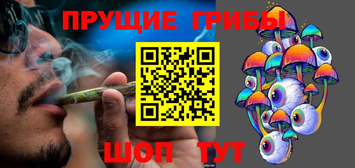 Галлюциногенные грибы мицелий  Вход с VPN  Кольчугино 